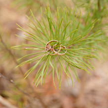 circle